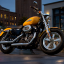 Harley Davidson Sportster 1200 Custom фото